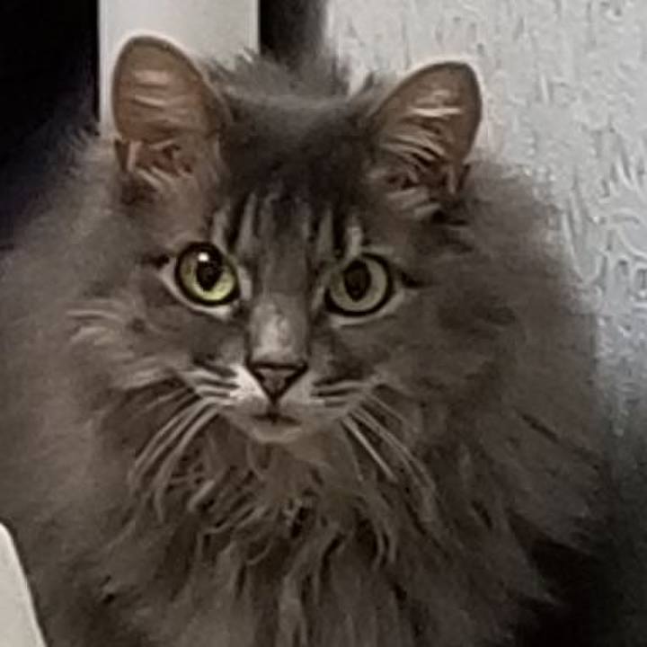 E9bdcbb9 a406 4025 b8a9 876acd862d18 1594475752521