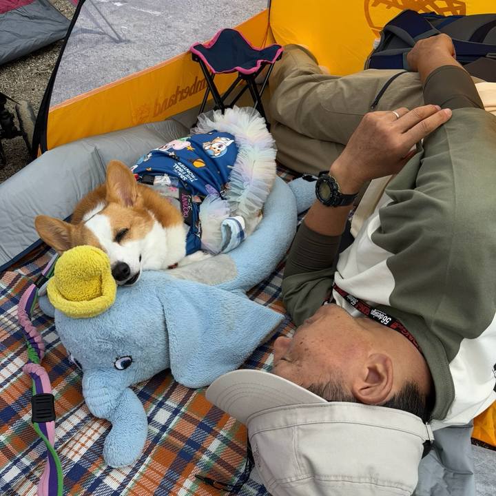 E9bddb5f 48cb 4f38 8bbe c5a19d755c53 1760272960594