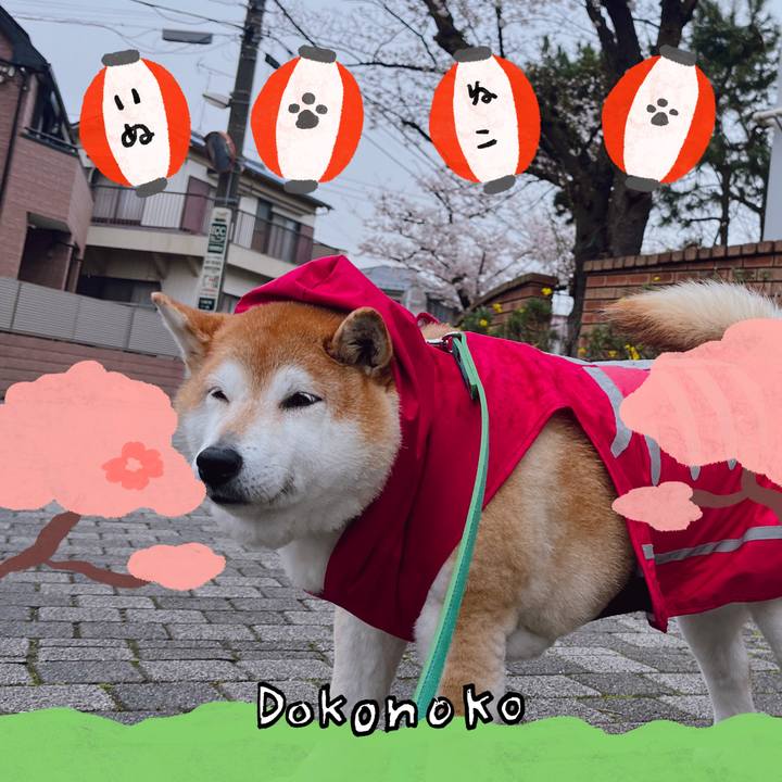 E9bddd00 8d60 4942 aa5a dab4011c5cd5 1712200408401