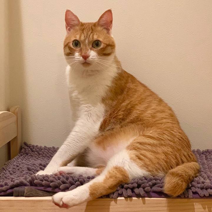 E9bdf948 13e6 4534 8872 79e3d09ada92 1558526704646