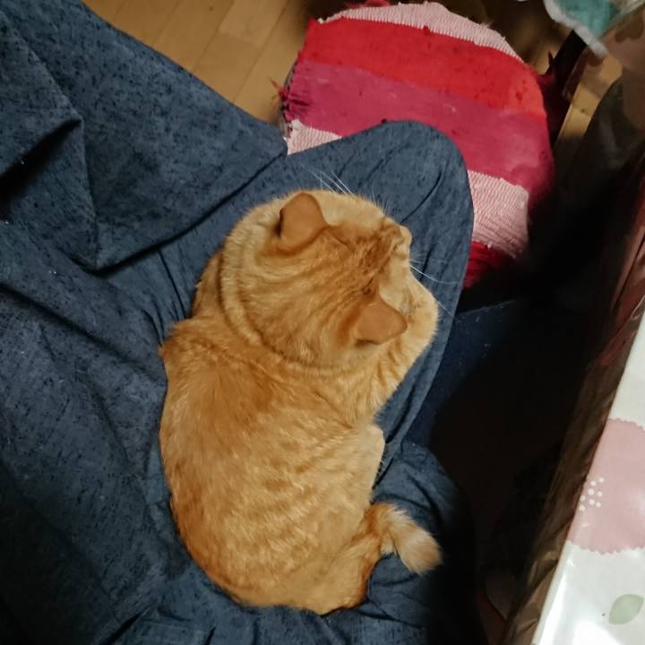 E9bdfce5 9883 446a bf8a 97b9cfd5721e 1661726175303