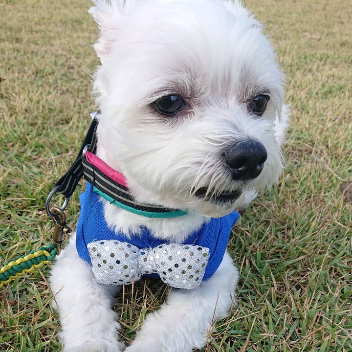 E9be204e b458 4a1f be82 34e32dcb64a1 1538824466788