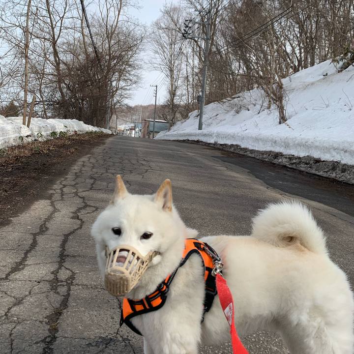 E9be65f8 9d11 43d5 a770 632c3be714e1 1616566207177