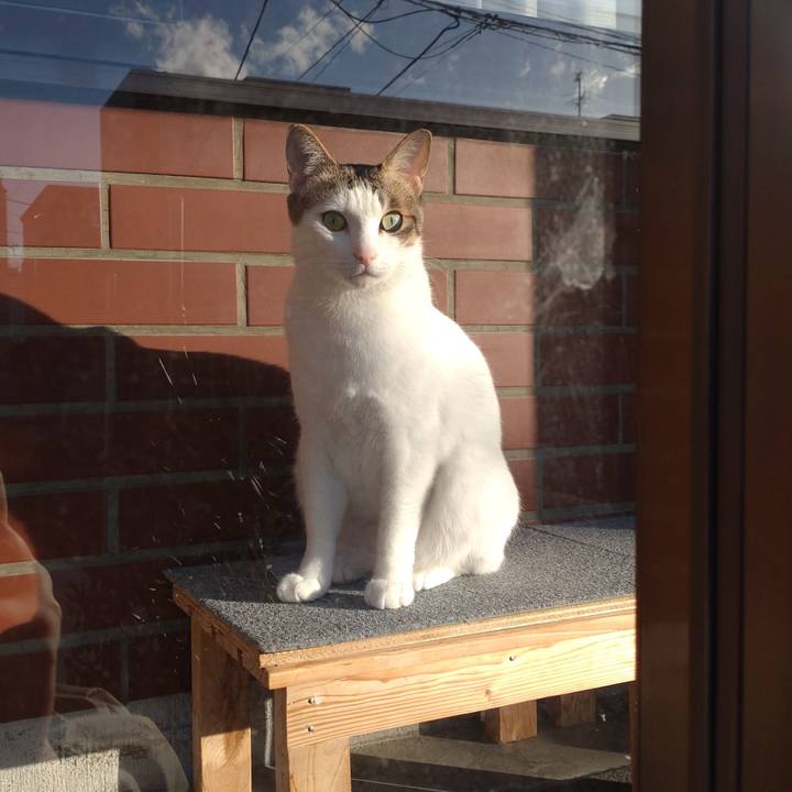 E9be8bbb 63b5 4514 b6c8 4d256204a42f 1742634438904