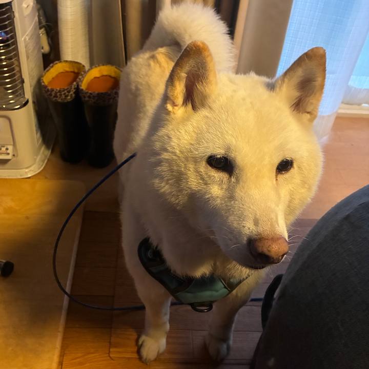 E9bf6c8d ead3 4f11 a954 b344e42d6d42 1774947544625