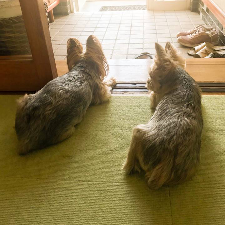 E9bf9a39 e99c 4971 8df4 bb858689a4e0 1595067467204