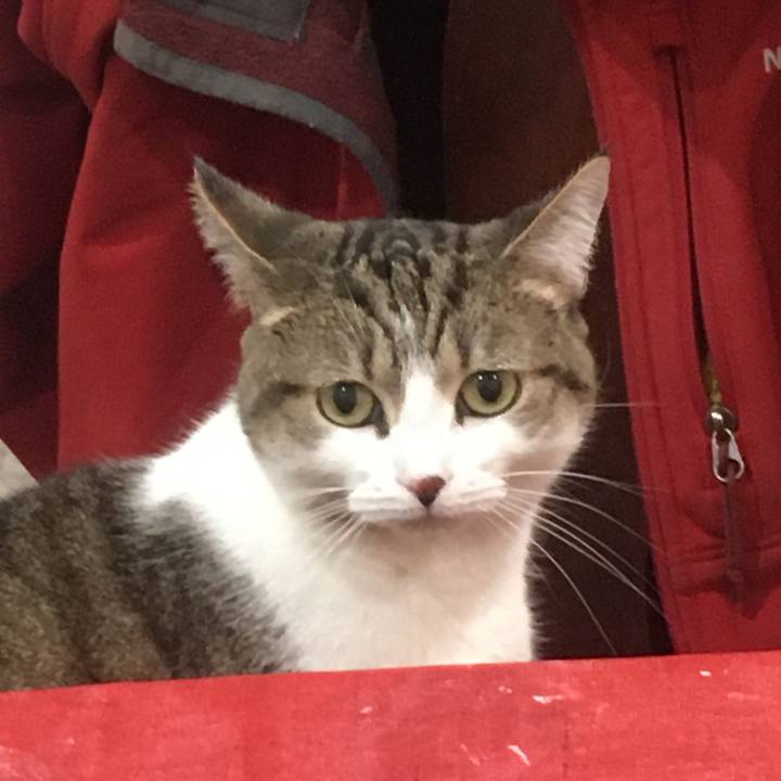 E9bfa125 dab4 45ce b423 6edf4679288a 1691876062703