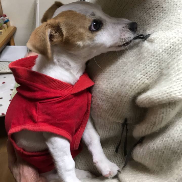 E9bfaf50 e5ad 4129 a3d6 e1a33fa1e03b 1544694234838