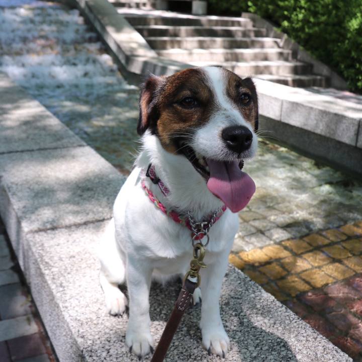 E9bfb085 bff4 4ec8 b328 7a156d052f83 1527937231925