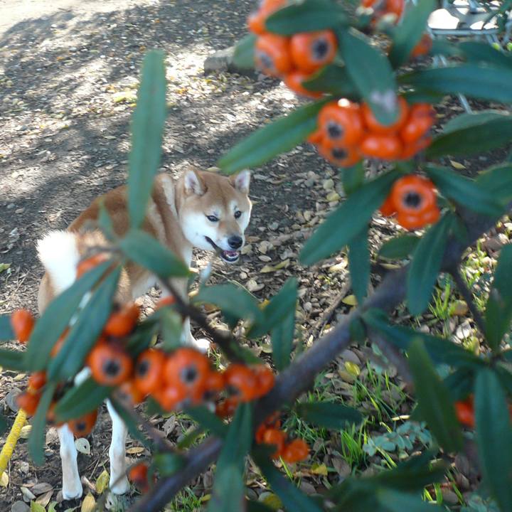 E9bfdf2b 6425 423f bb20 cee39785d8f3 1640075163502