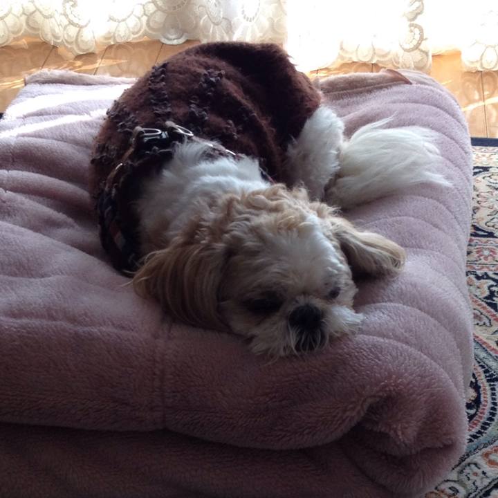 E9bffd28 adce 4574 bf81 c5ca27c39673 1510954763491