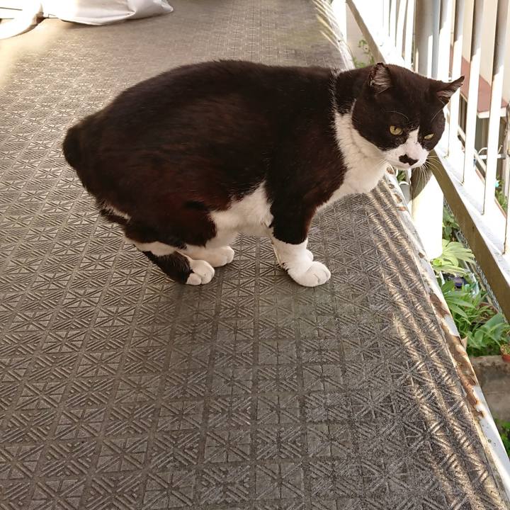 E9c0529b 5f00 49ad b327 03e6dd053f52 1617929091863