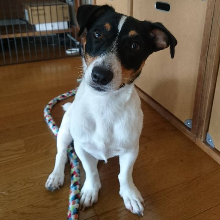 E9c09f2f 393d 4cf3 9383 84bc197157f9 1533941421364