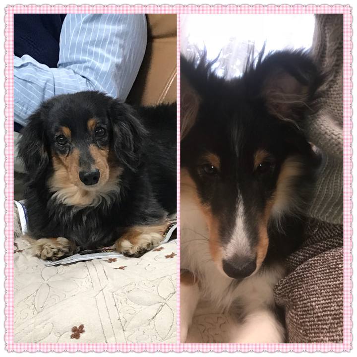 E9c0a294 0f00 43a9 a3b3 fdd49ac648c1 1515967917768