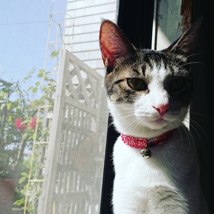 E9c0a44d fdd4 4d5f af97 a0a404c0e765 1509861943300