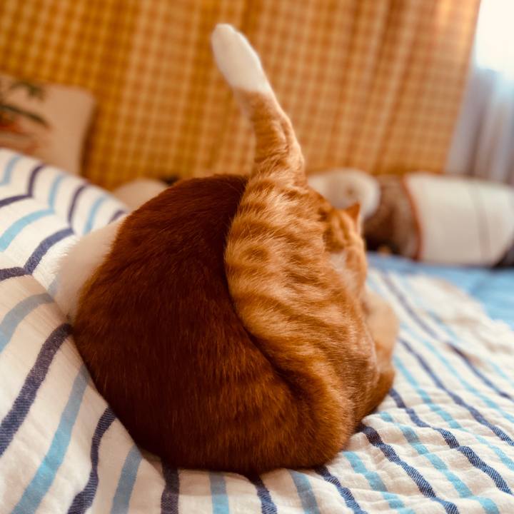 E9c0ead0 b9be 4aea bfa8 5321540e8213 1601524116712