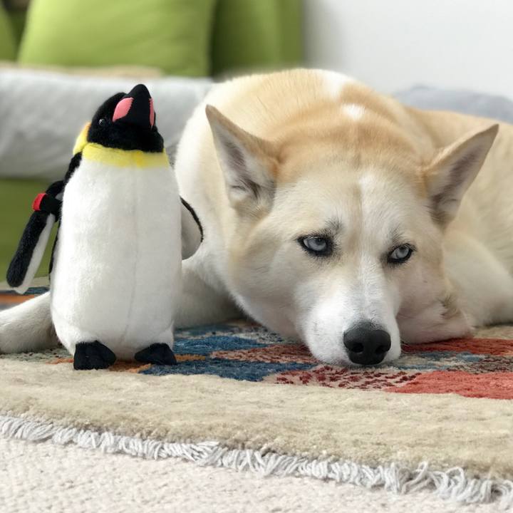 E9c10988 ad60 4bfc bf66 81d1d8e67cb5 1522802723623