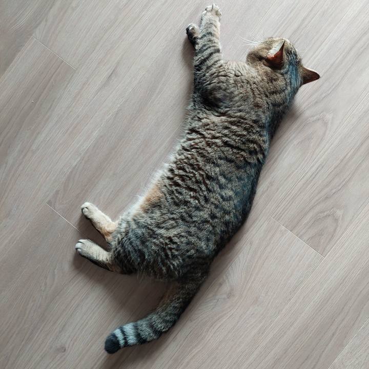 E9c1388e bb39 4a6f a3c5 fdd36c5be4a2 1662246728873