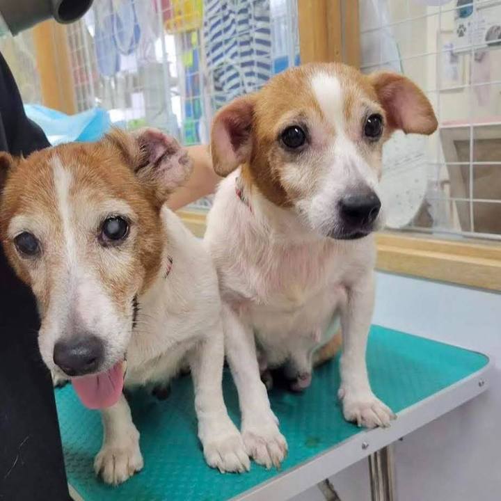 E9c19e2b 7cf0 4664 8b3d 826f73bcdfb3 1773017583562