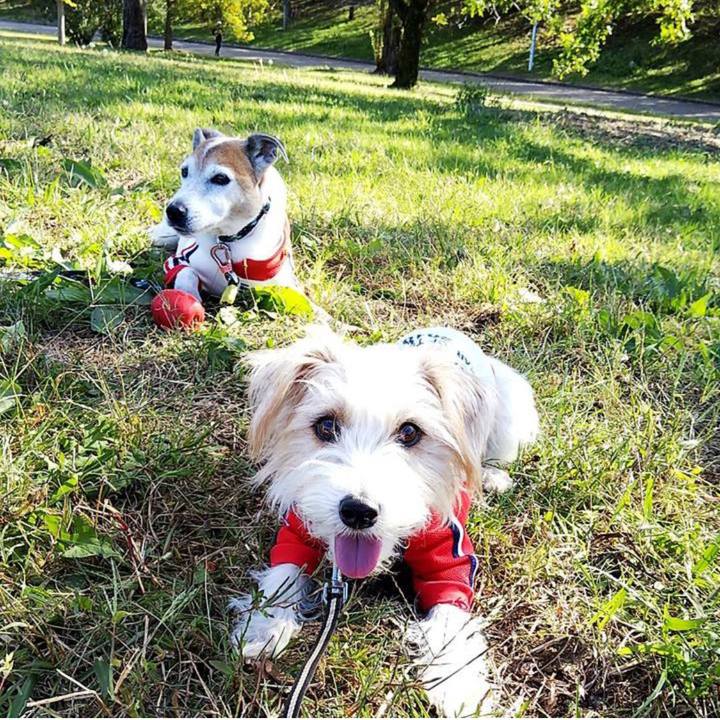 E9c1de12 1d9a 429e 82e0 8802110f656b 1668469793466