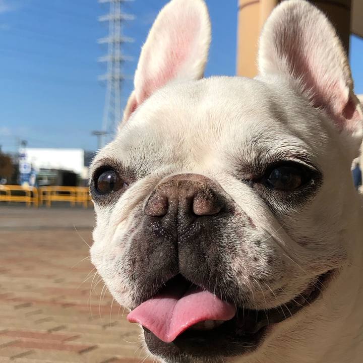 E9c24487 1fd1 4650 9ea5 b24e479d633f 1670119775568