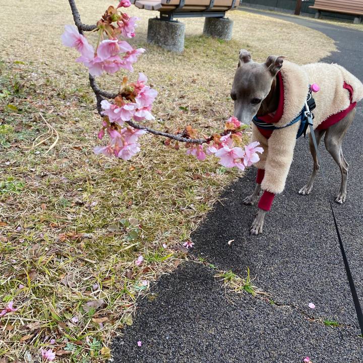 E9c253ae 62fc 4cf8 8740 bd9db896d4a7 1771467164910