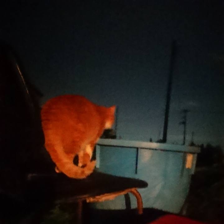 E9c282ce 36d4 4537 8dd2 bdda0dbb27b8 1603097914603