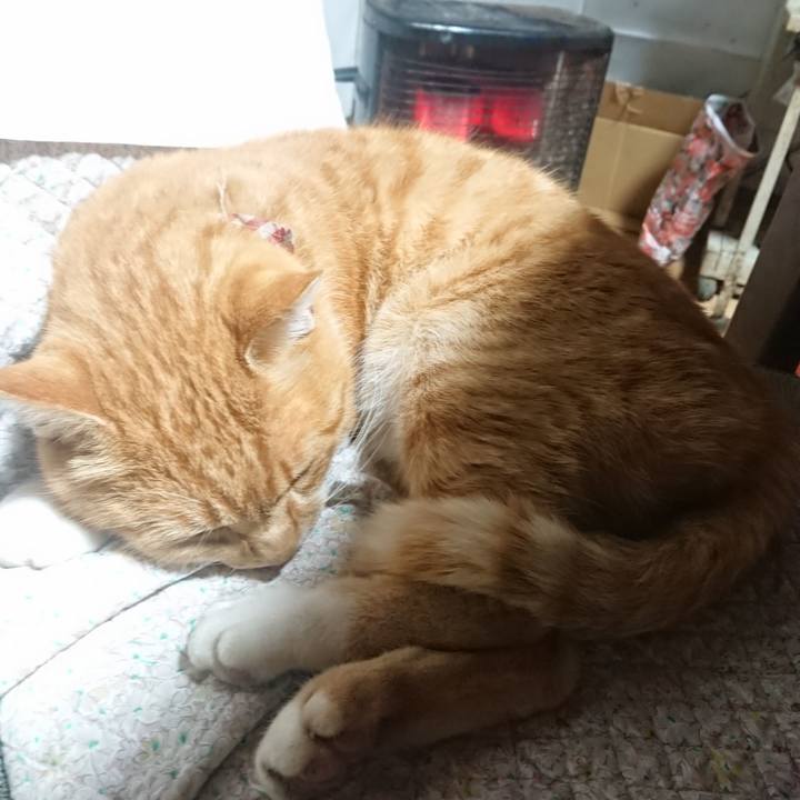 E9c284a4 731c 4249 a66e e1ad05978304 1604953997568