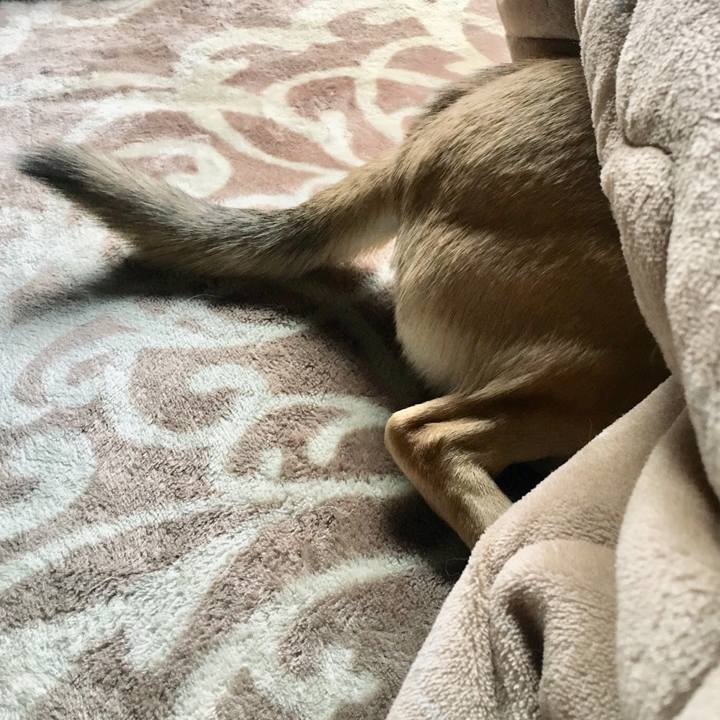 E9c292fd 415c 434e 9b47 757ab75280e9 1547334363334