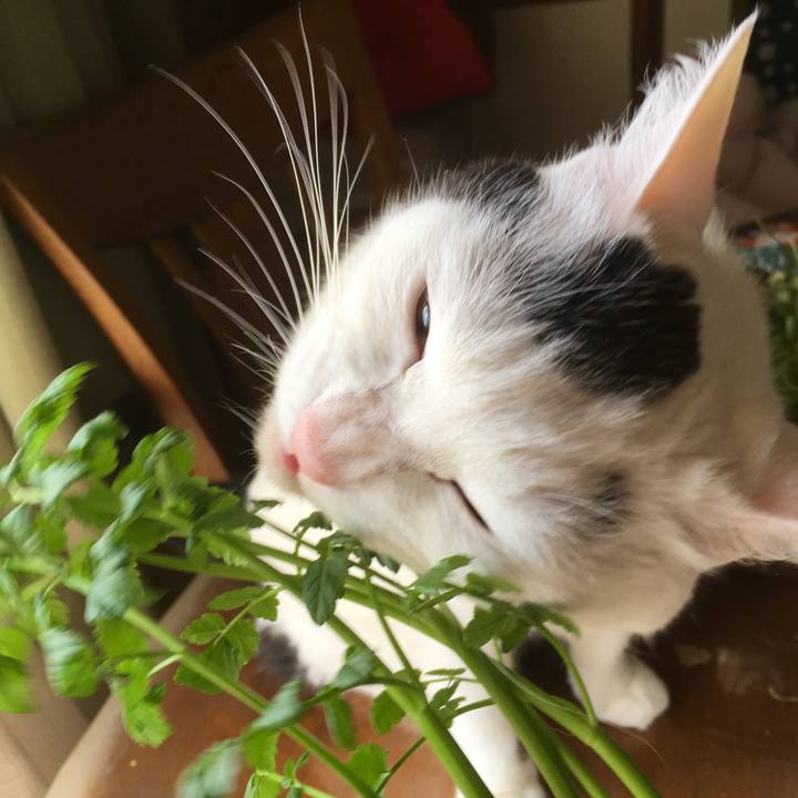 E9c2e779 77a7 44a0 8b3e 28ae4c4fce8b 1554272540009