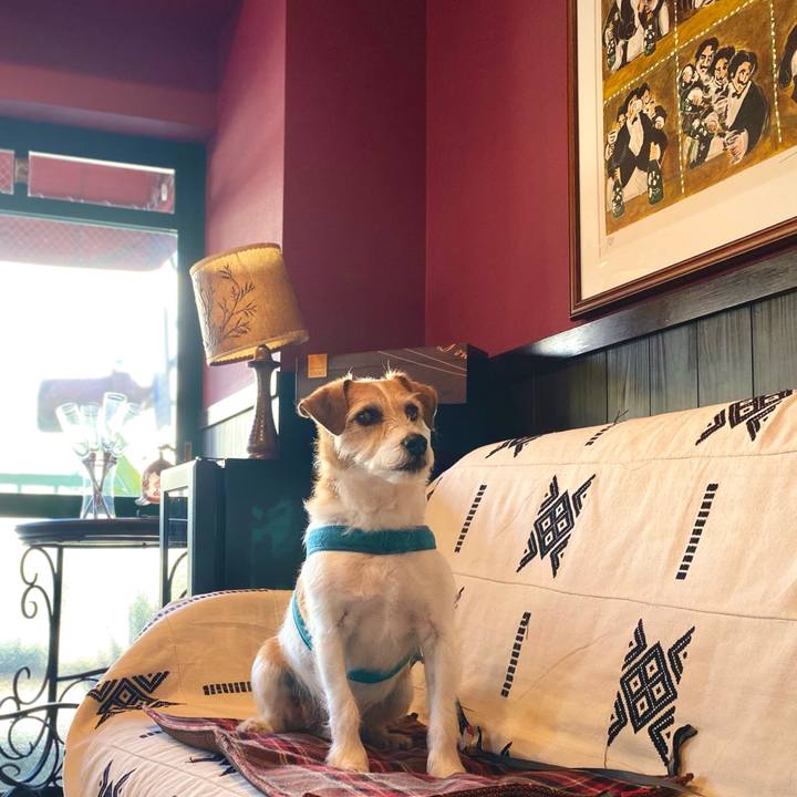 E9c320c1 3886 4593 bdb8 217b95405c12 1677497303545