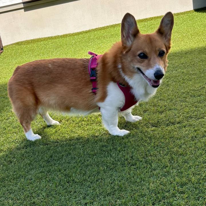 E9c3379a 41c5 4bdd ba43 d2baae68810b 1731811882314