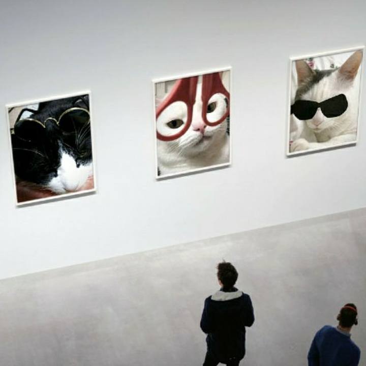 E9c3409b d599 48df 85f5 1af7831041b2 1554242347473