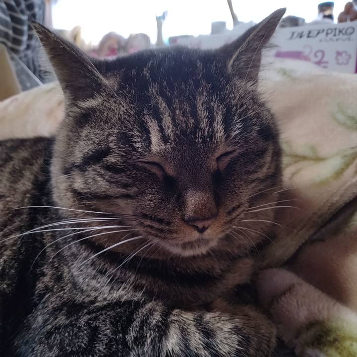 E9c3af52 6847 4a03 9506 67c6b9820297 1672212711518