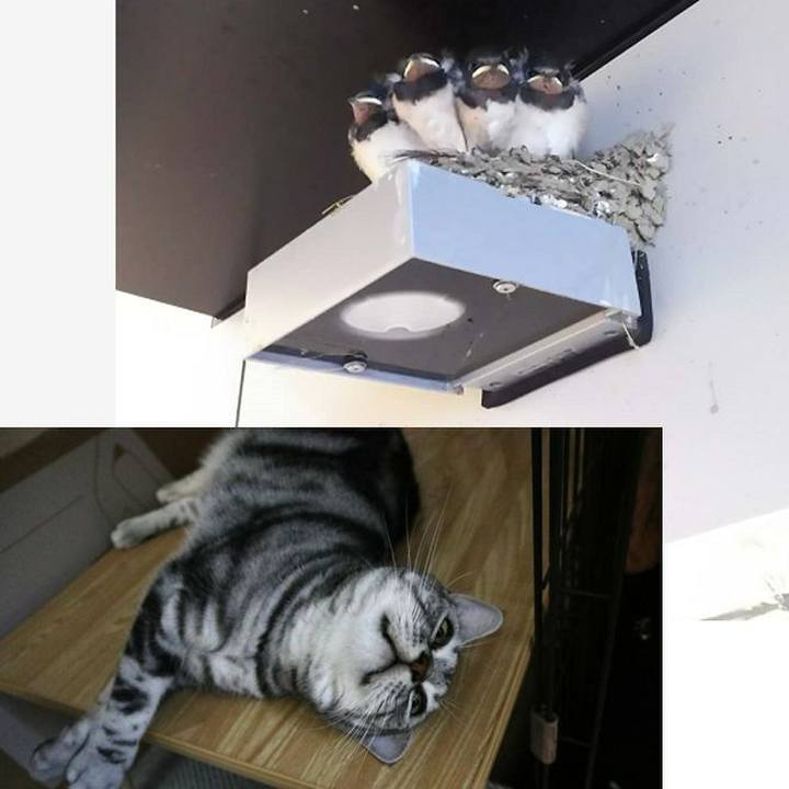 E9c40083 e25a 4239 97c0 45a05c23e4ae 1595070256050