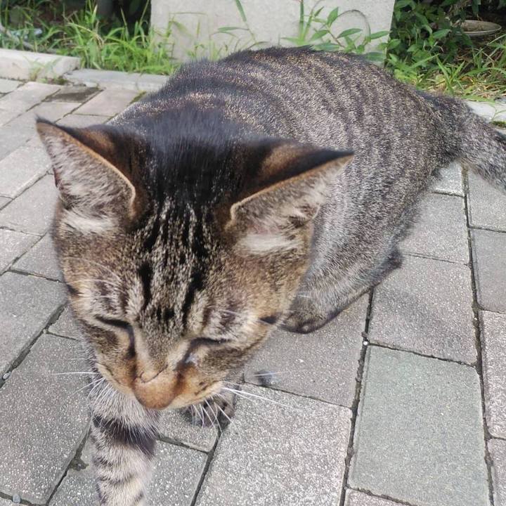 E9c40d0a 7552 4a1d 930f 16a446223419 1600146202337