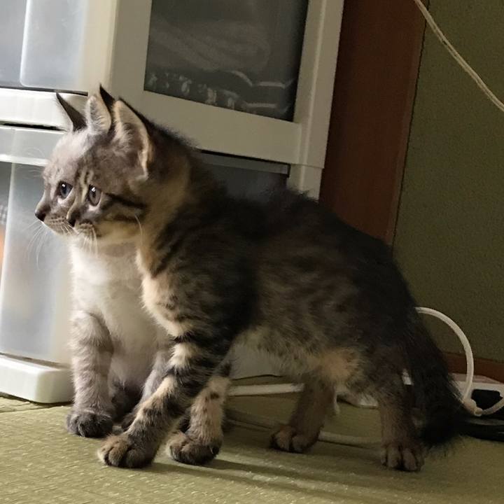 E9c43fce b24c 464a 970d e078ab1dc579 1558497322049