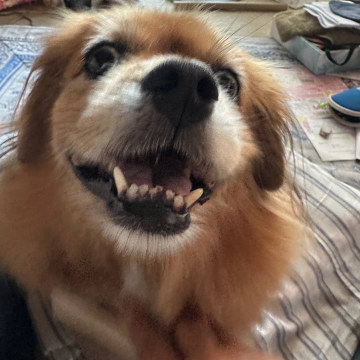 E9c462c9 2703 4c56 83ee 76c7e90895e4 1753308563714