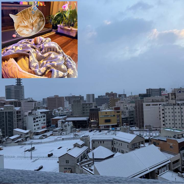 E9c48346 3543 4f97 b70c e3674bfe2f93 1770588372950