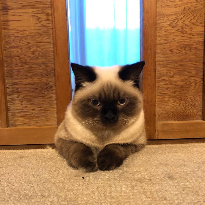 E9c49e3b 04c2 4e3c a551 9729b49d23d1 1597187932200