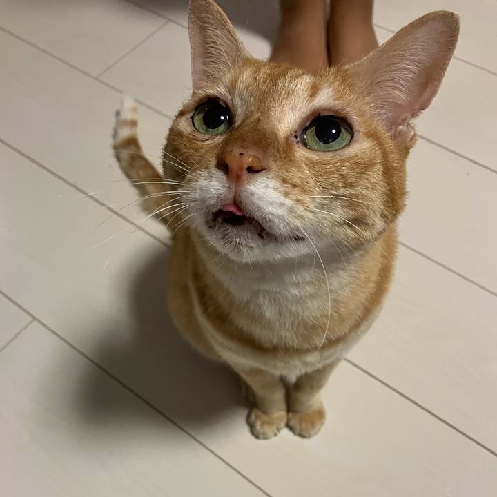 E9c4c818 82b2 4ca6 91ee 2e2fc2fa1d1f 1760996033429