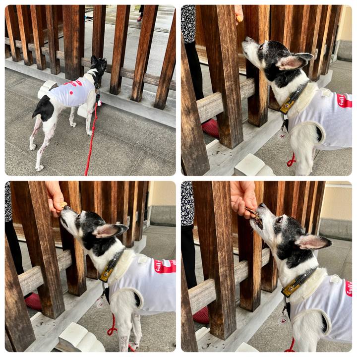 E9c4d609 8807 428e 8f46 0c40db4194ac 1657958881964