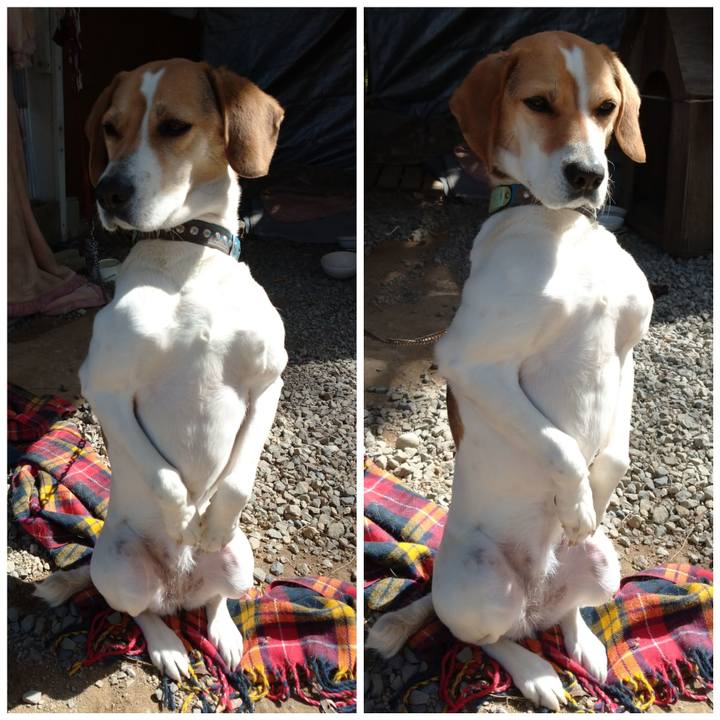 E9c51b58 2f7b 41ea 854c 82ab6624f04d 1616055696029