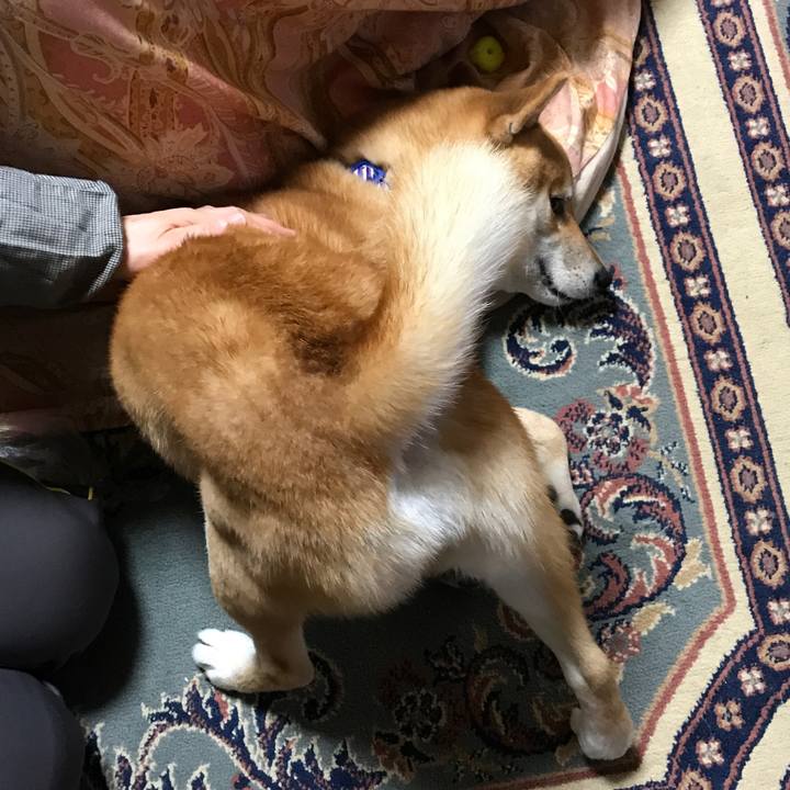 E9c5445f 2933 4c3d b2ed e772901ed859 1551397768585