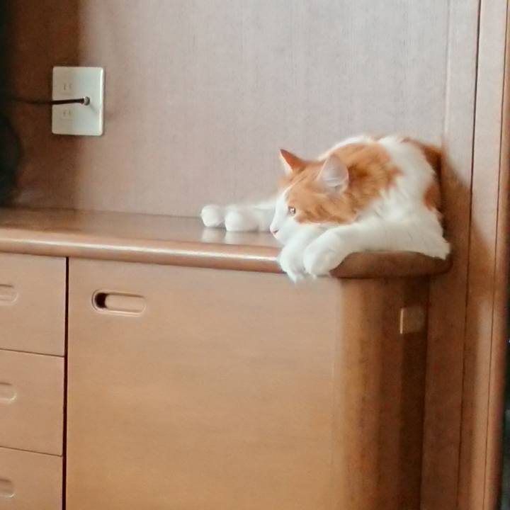 E9c54846 0305 49ee 924e 68daa9b2194c 1532138420151