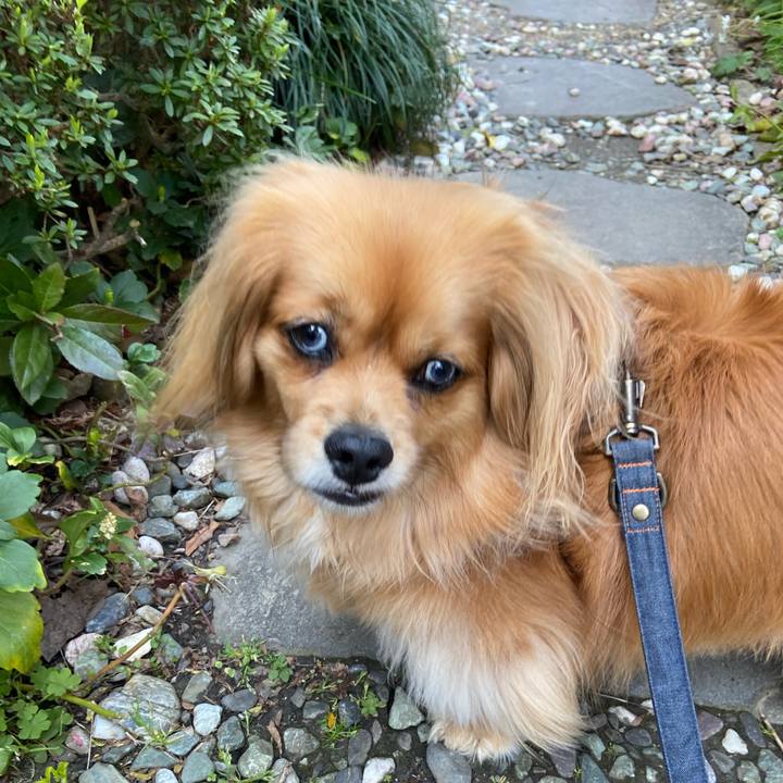 E9c550c7 972a 4055 acc5 0b6937589359 1586903105841