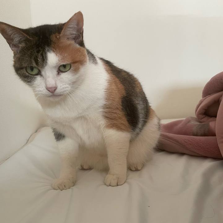 E9c58f11 eed6 49d7 9033 1c5673385057 1674367377592