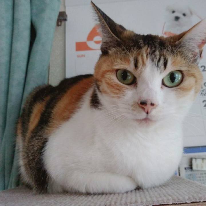 E9c59c05 20af 44c4 a98f 80a373b05b52 1593145407294