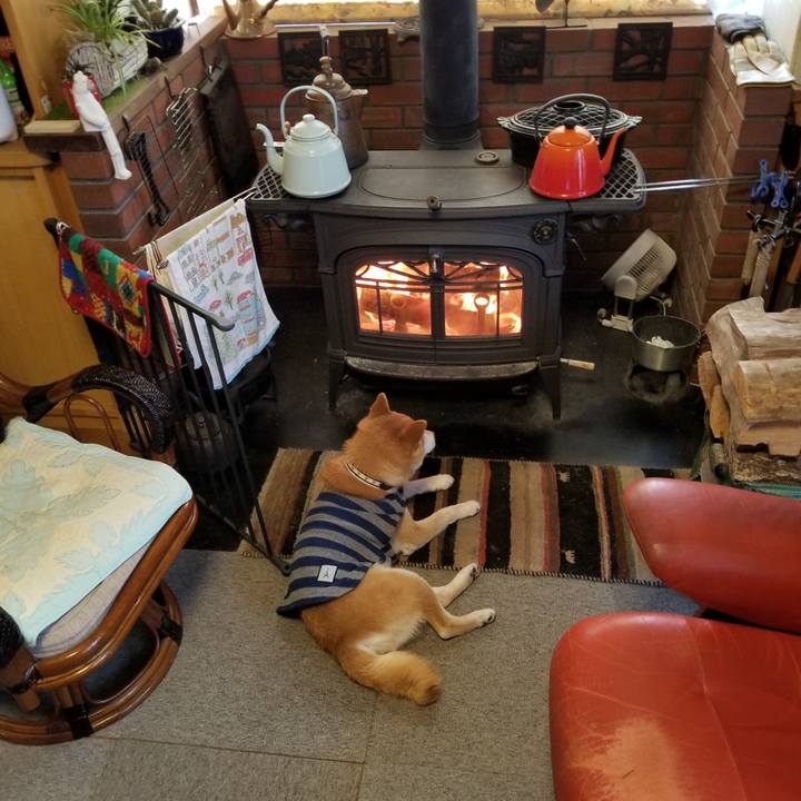 E9c5f7de c95d 45d9 9f8a 17944ebc605e 1614207130946