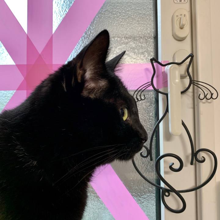 E9c5fd43 11f8 4573 83be 6464d9ca729a 1599289559978